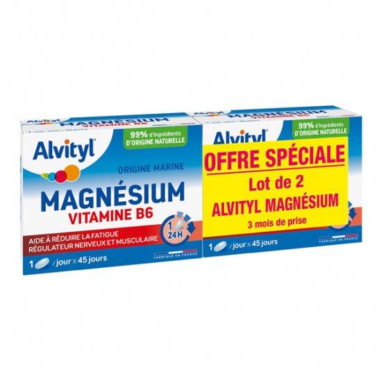 Alvityl Magnésium Lot de 2, 300mg + Vitamine B6 - Libération Prolongée