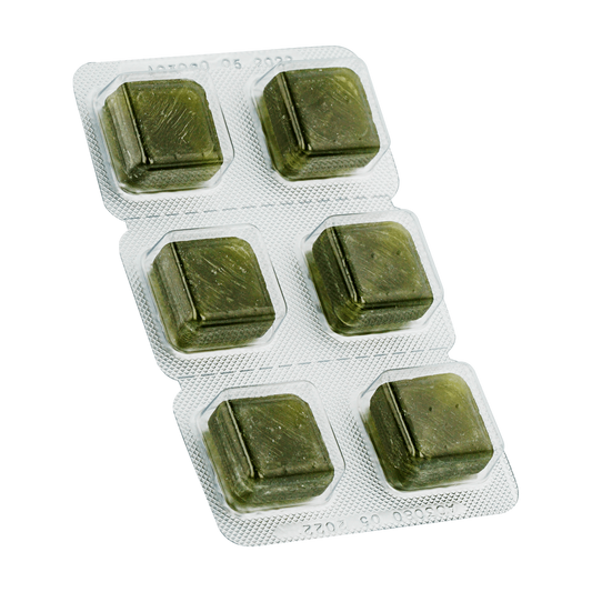 ELGYDIUM Fresh Pocket - pastilles mauvaise haleine