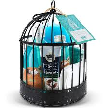 PETIT BAIN PROV CAGE EVASION