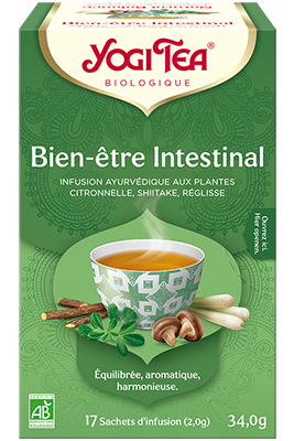YOGI TEA BIEN ETRE INTEST SACH 17