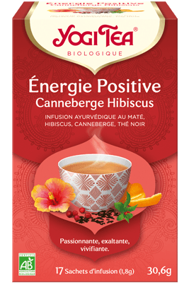 YOGI TEA ENERG POSITIV BIO SACH 17