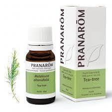 PRANAROM H E TEA TREE  10ML