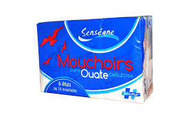SENSEANE MOUCH NATURE 6X10