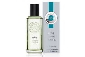 R GALLET L'HOMME MENTHE Eau toil Vapo/100ml