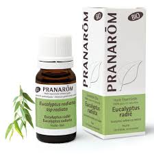 PRANAROM EUCALYPT RAD BIO  HE 10ML