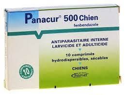 PANACUR 500 CHIEN CPR10   VETO